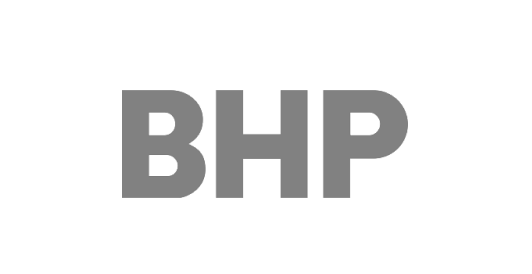 BHP_1.png
